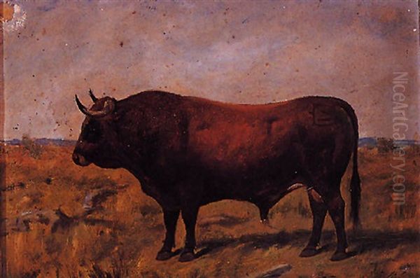 Toro Oil Painting by Luis Julia Y Carrere