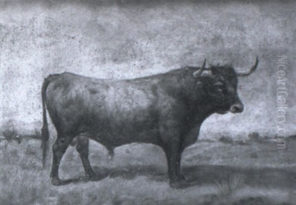 Toros Bravos En El Campo Oil Painting by Luis Julia