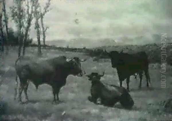 Toros En La Dehesa Oil Painting by Luis Julia