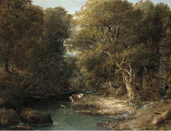 Cattle Watering In A Wooded Landscape Oil Painting by William Bath