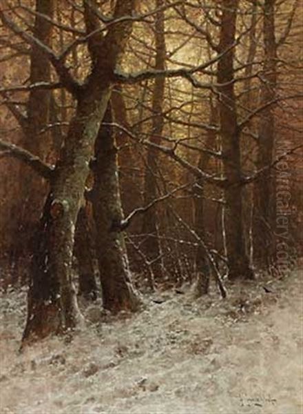 Abendsonne Im Winterwald Oil Painting by Johann Jungblut