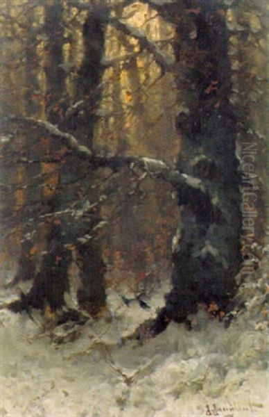 Winterwald Mit Zwei Vogeln Oil Painting by Johann Jungblut