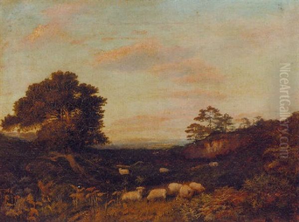 Sheep Grazing In Heathland Oil Painting by Henry Jutsum