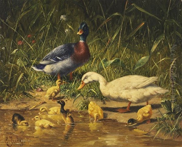 Enten Mit Jungen Am Wasser Oil Painting by Carl Jutz the Elder