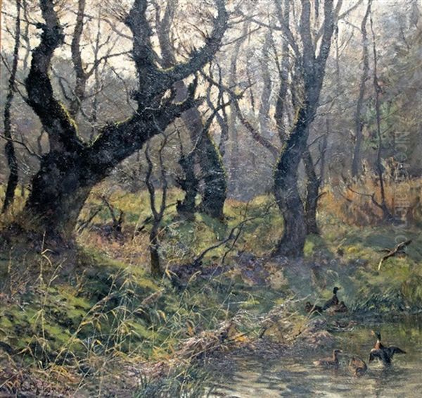 Marshland With Ducks (collab W/carl Jutz The Younger) Oil Painting by Carl Jutz the Elder