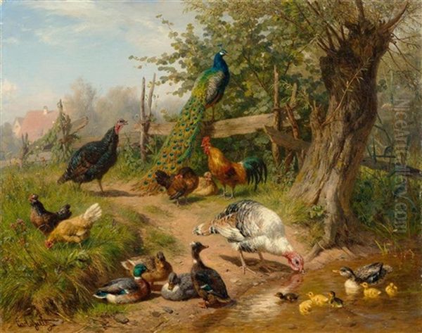 Truthahne, Enten, Huhner Und Ein Pfau Am Wasser Oil Painting by Carl Jutz the Elder