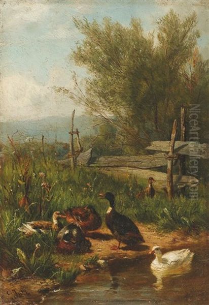 Enten Am Wasser Oil Painting by Carl Jutz the Elder