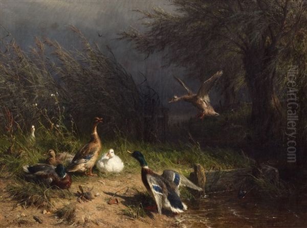 Enten Am Bachufer Oil Painting by Carl Jutz the Elder