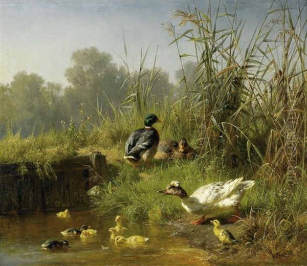 Enten Mit Ihren Kuken Im Schilf Oil Painting by Carl Jutz the Elder