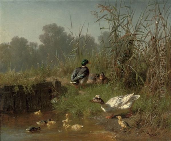 Ducks And Ducklings In A Pond Oil Painting by Carl Jutz the Elder