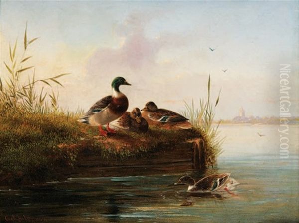 Canards Dans La Marre Oil Painting by Carl Jutz the Elder