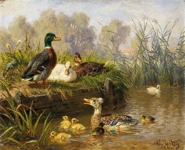 Enten Am Weiher Oil Painting by Carl Jutz the Elder