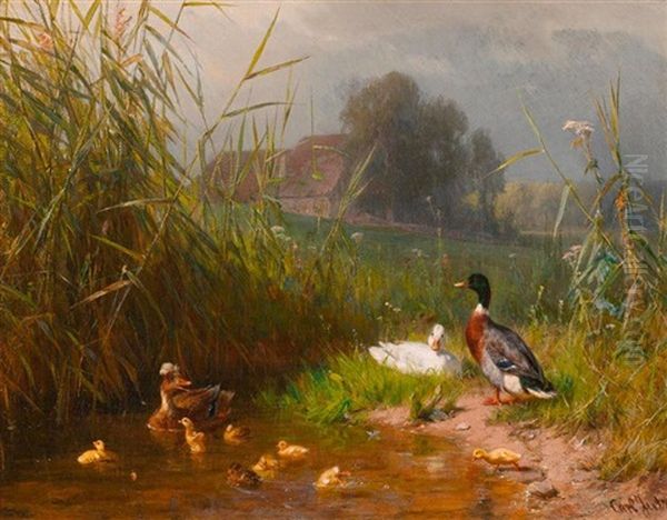 Entenfamilie Am Bachlauf Oil Painting by Carl Jutz the Elder