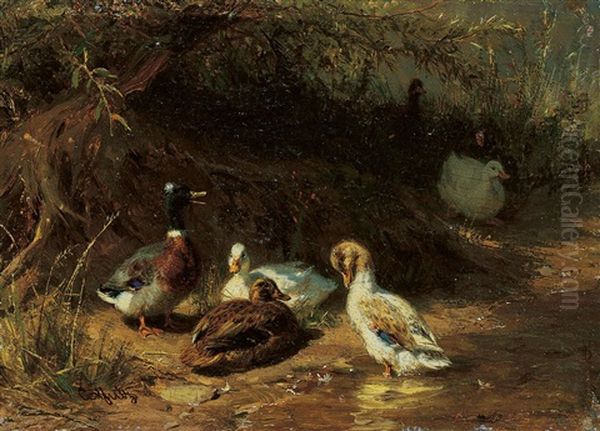 Enten Unter Buschen Oil Painting by Carl Jutz the Elder