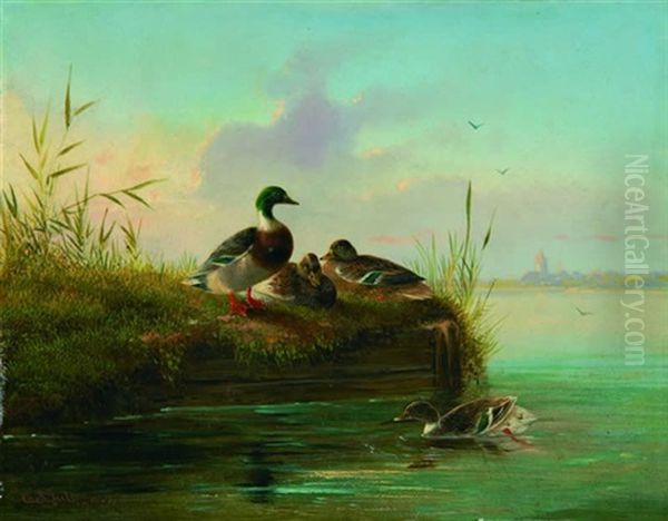 Enten Am Seeufer Oil Painting by Carl Jutz the Elder