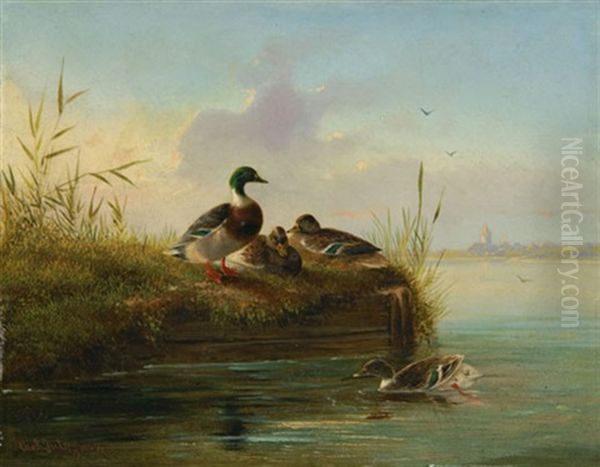 Enten Am Seeufer Oil Painting by Carl Jutz the Elder