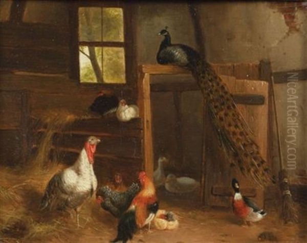 Fancy Fowl Oil Painting by Carl Jutz the Elder