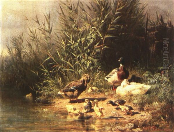 Schilfbestandener Teich Mit Entenfamilie Oil Painting by Carl Jutz the Elder