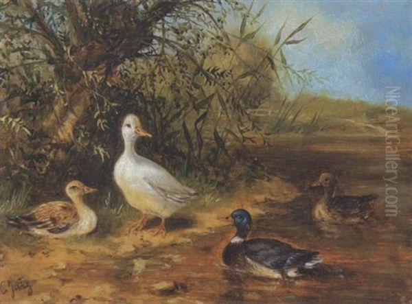 Enten Am Ufer Eines Teiches Oil Painting by Carl Jutz the Elder