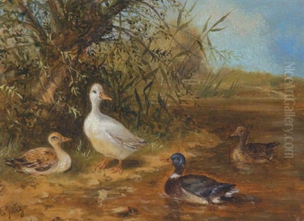 Enten Am Ufer Eines Teiches Oil Painting by Carl Jutz the Elder