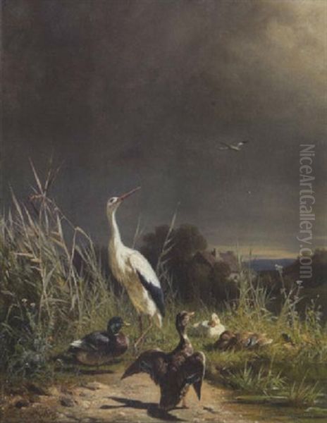 Storch Und Enten Oil Painting by Carl Jutz the Elder