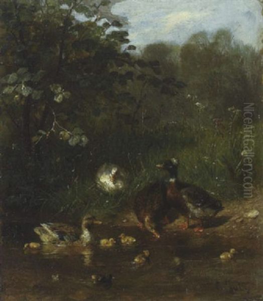 Enten, Erpel Und Kuken Oil Painting by Carl Jutz the Elder