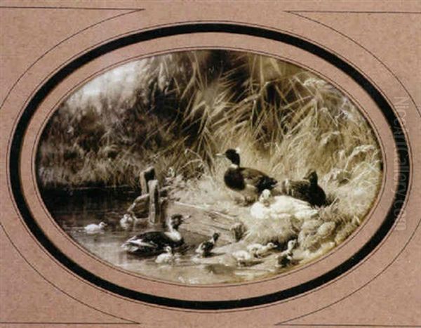 Entenparadies Am Teich Mit Lagernden Und Schwimmenden Enten Und Kuken Oil Painting by Carl Jutz the Elder