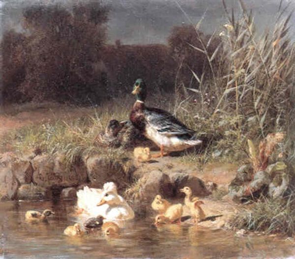 Enten Am Wasser Oil Painting by Carl Jutz the Elder