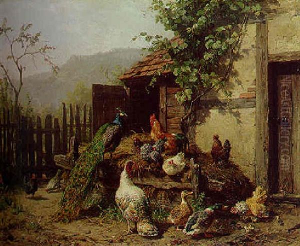 Hinter Dem Hause. Pfau, Huhner Und Enten Oil Painting by Carl Jutz the Elder