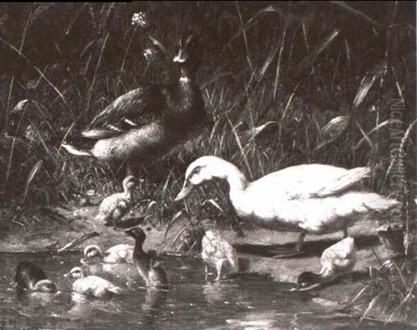 Enten Mit Jungen Am Wasser Oil Painting by Carl Jutz the Elder