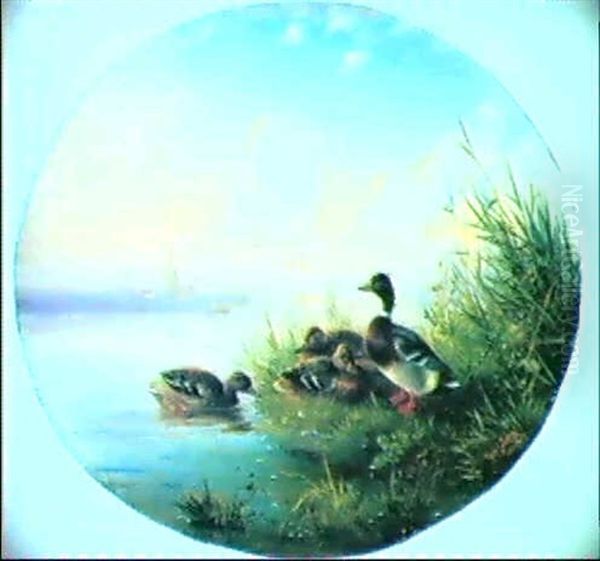 Enten Am Rheinufer Oil Painting by Carl Jutz the Elder