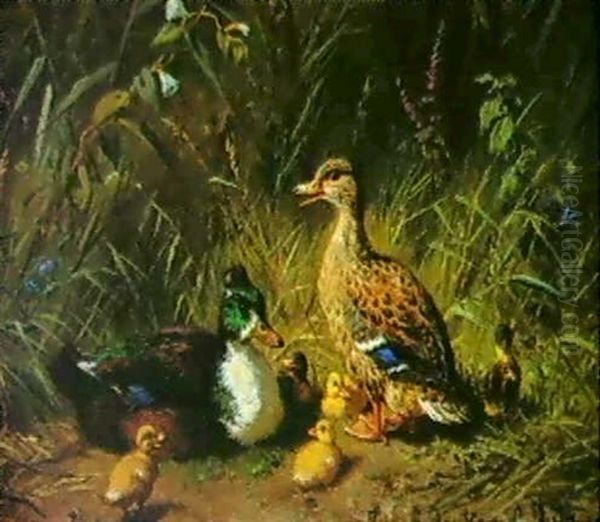 Entenfamilie Oil Painting by Carl Jutz the Elder