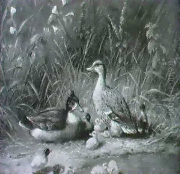 Wildentenfamilie Oil Painting by Carl Jutz the Elder