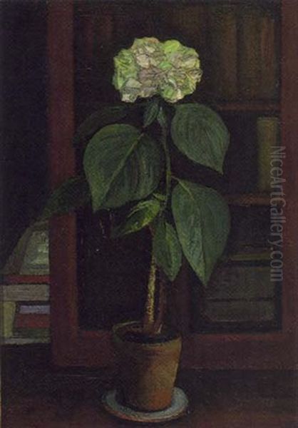 Hortensie Oil Painting by Adolf Jutz