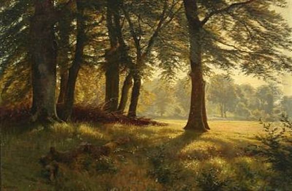 Sunny Forest Scape Oil Painting by Ludvig Kabell