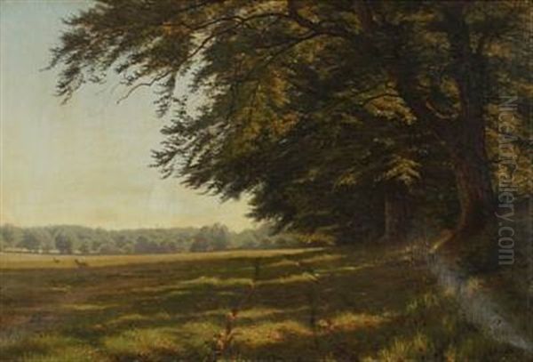 Forest With Deers In A Glade Oil Painting by Ludvig Kabell