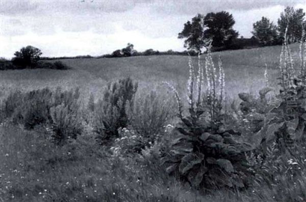 A Field With Wildflowers Oil Painting by Ludvig Kabell