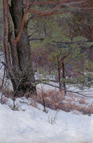 Wald Im Winter Oil Painting by Max Kahrer