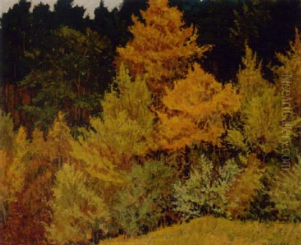 Herbst Im Schiesstattgraben Oil Painting by Max Kahrer