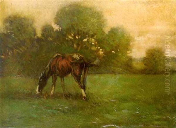 Pferd (fuchs) Auf Wiese Oil Painting by Konrad Wilhelm Kalb