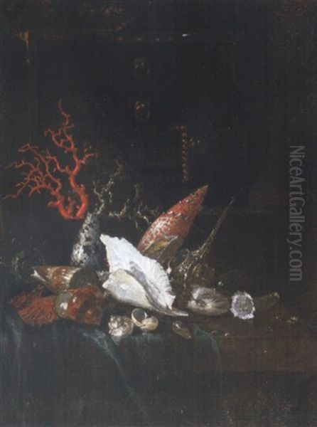 Still Life Of Coral And Sea Shells Together With A Jewelry Casket Upon A Partly Draped Stone Ledge Oil Painting by Willem Kalf