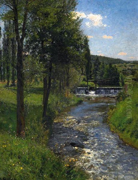 Wiese Am Bach Mit Stauwehr (sommer) Oil Painting by Friedrich Kallmorgen