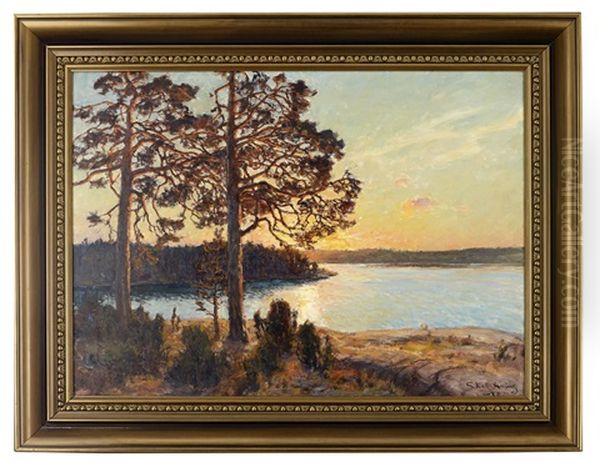 Solbelysta Tallar I Skargardslandskap Oil Painting by Gottfried Kallstenius