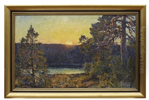 Tallar I Kustlandskap Oil Painting by Gottfried Kallstenius