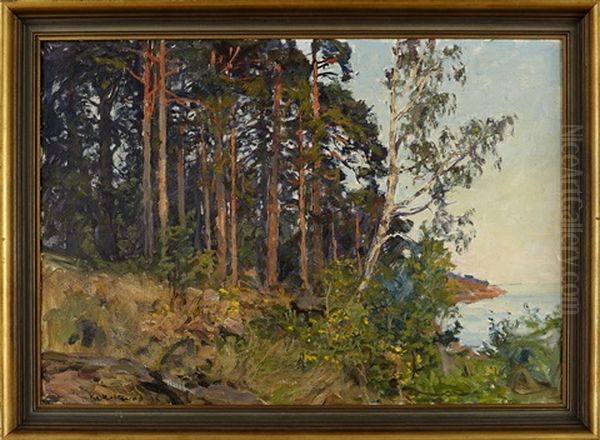 Solbelysta Tallar I Skargarden Oil Painting by Gottfried Kallstenius