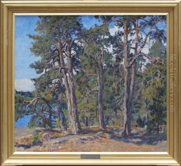 Tallar Vid Sjo Oil Painting by Gottfried Kallstenius