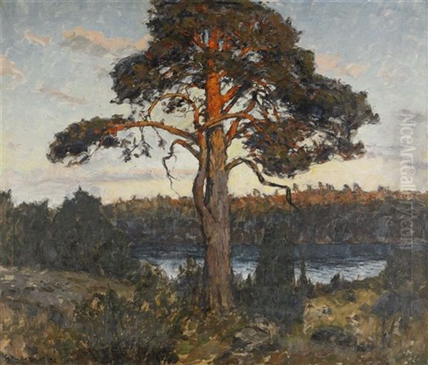 Solbelysta Tallar Oil Painting by Gottfried Kallstenius