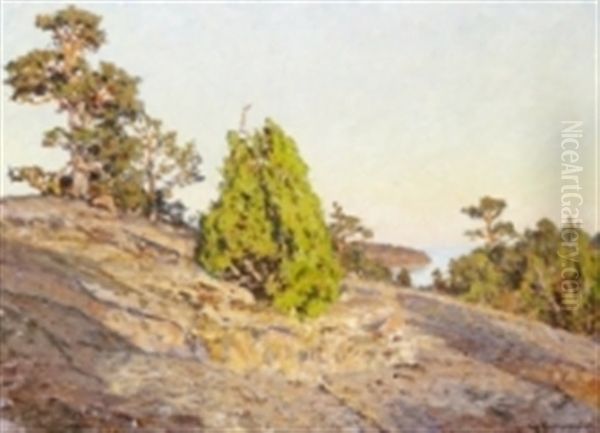 Solbelyst Klipphall I Tjust Skargad Oil Painting by Gottfried Kallstenius