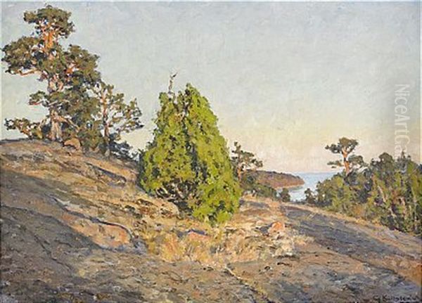 Skargardslandskap Med Solbelysta Tallar Oil Painting by Gottfried Kallstenius