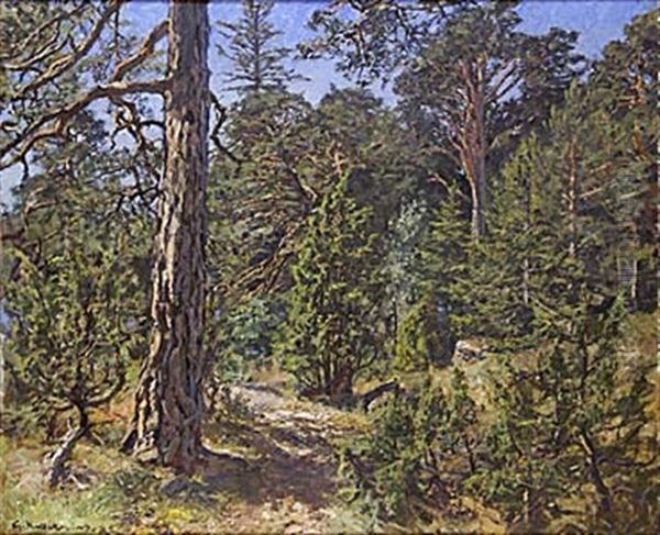 Manberget, Kallvik, Vastervik by Gottfried Kallstenius